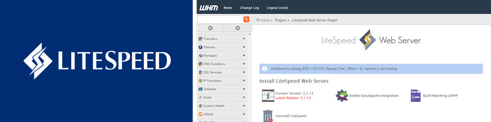 LiteSpeed Web Server